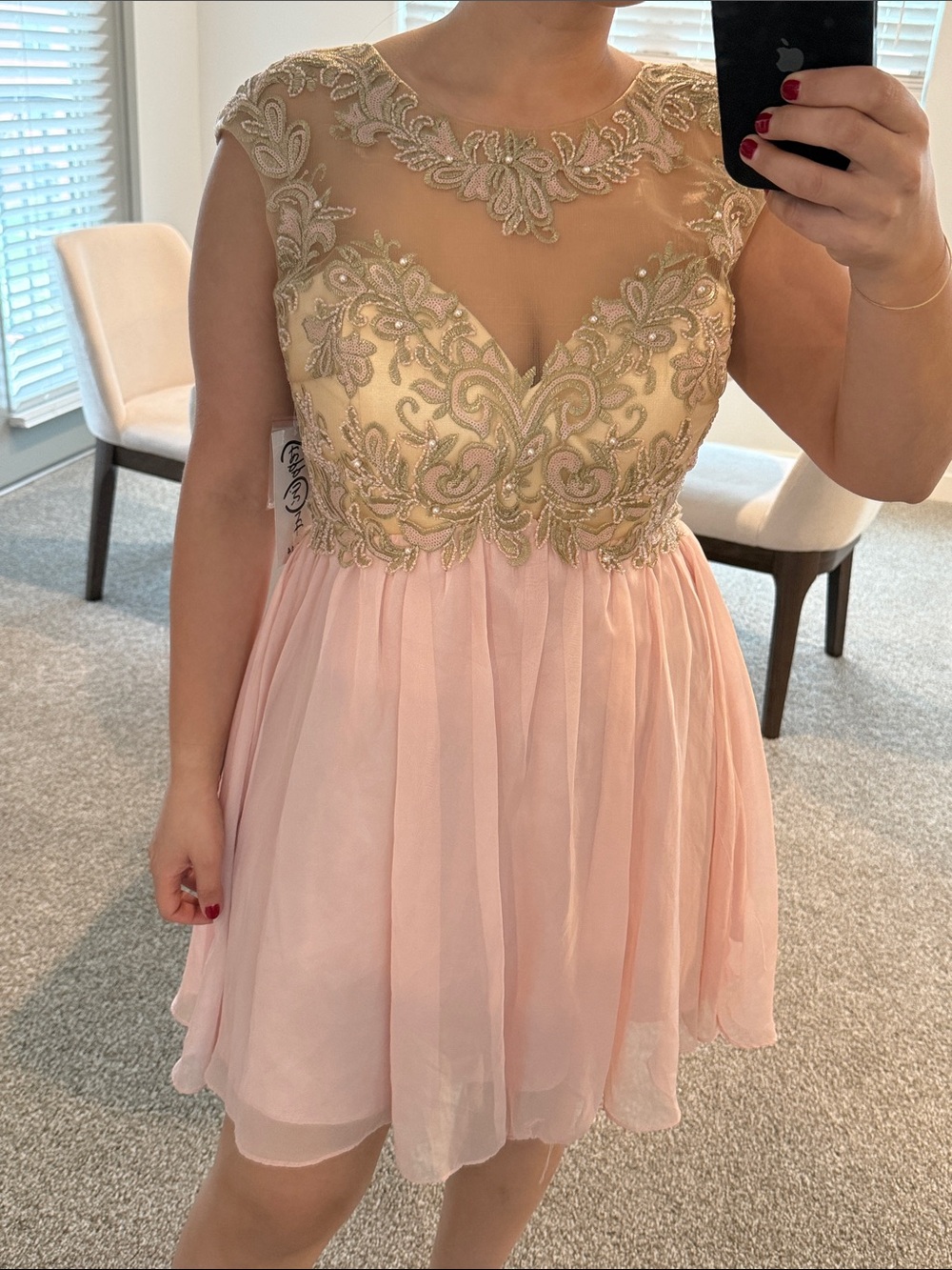 NWT Steppin Out Pink Chiffon Gold Embroidered Sheer Bodice Mini Dress